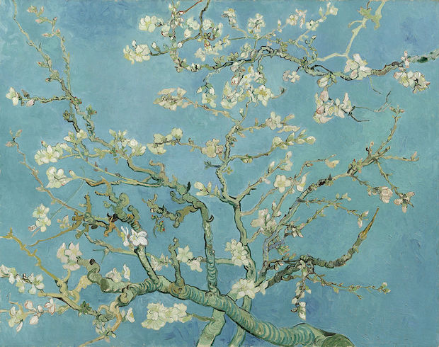 Vincent-van-Gogh-Almond-blossom.JPG
