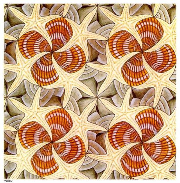 escher-shells-and-starfish.JPG