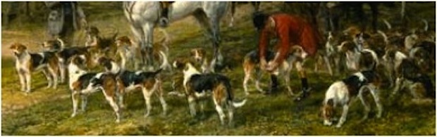 gambe-cani.JPG
